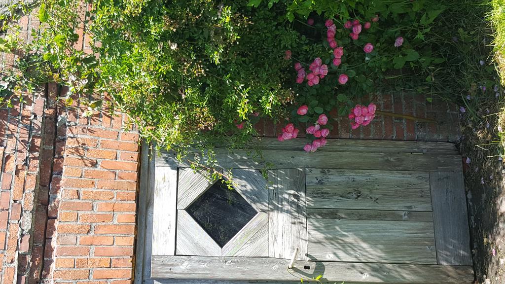 Ferienwohnungen Zollhaus Utlandshoern Norden Exteriér fotografie
